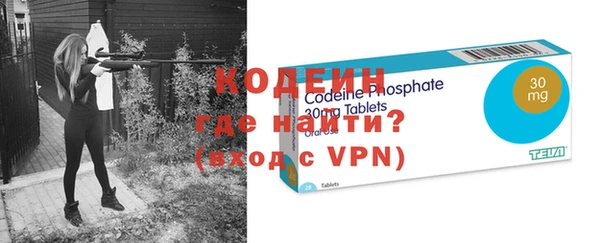 эйфоретик Няндома