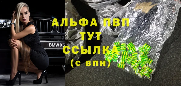 эйфоретик Няндома