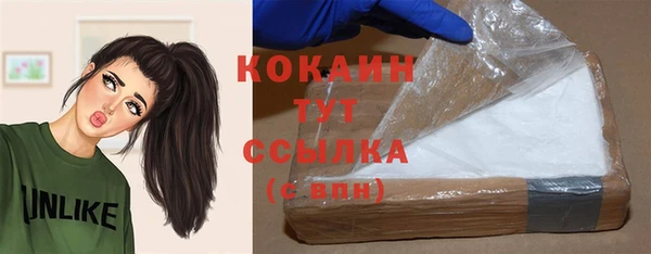 эйфоретик Няндома