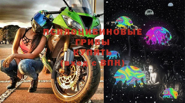 jwh Новозыбков