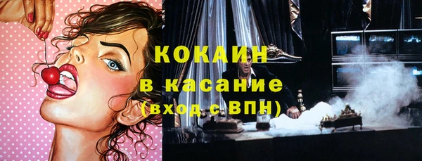эйфоретик Няндома