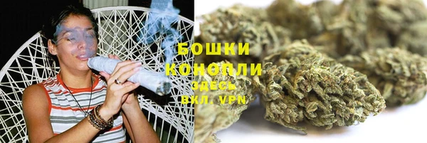 эйфоретик Няндома