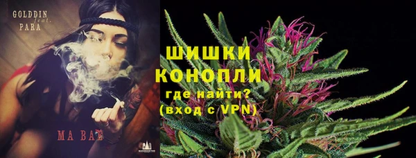 эйфоретик Няндома